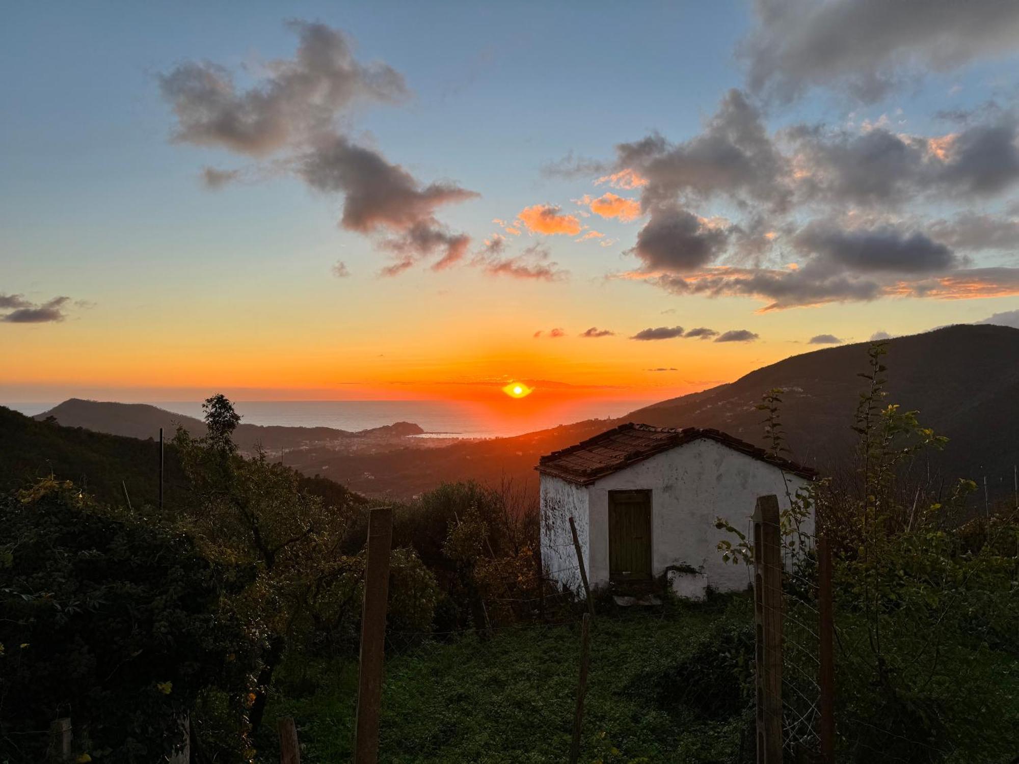 La Collina Sul Mare - Casa Vacanze Сестри-Леванте Экстерьер фото